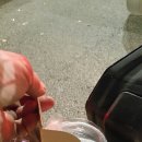퀵다방 이미지