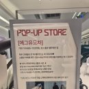 에그집(Egg.zip) | 타임빌라스 수원 egg 에그 유모차 팝업 스토어에서 에그z plus 구매 및 언박싱 후기