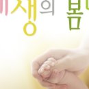 내생의봄날 대구수목원