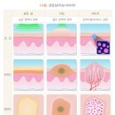 서초베스트외과의원 이미지