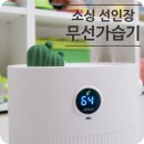 (주)상상그램 | 선인장 무선가습기 사용 후기, 1L 대용량 미니 가습기로 겨울철에도 촉촉하게 #FU-H22MW