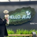 달중이네 | [제주 애견동반 숙소] 달중이네 쉬멍 단골 후기