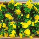 나운2동사무소 이미지