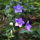 기림농장 이미지