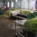 석촌농장 이미지