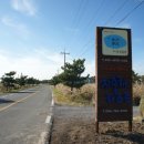 동상일몽 이미지