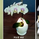 내음공간