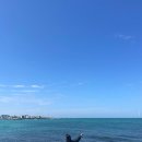 한라가든 | 베리의 제주 여행 1일차(스누피가든, 엄마손횟집 가격 주차 제주도 맛집 제주 카페)