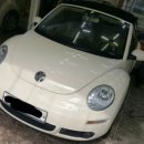 키다리광택 이미지