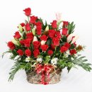 사랑의 날개 이미지