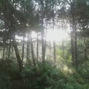 전원생활 정보 이미지