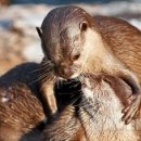 빠져봅시다 이미지