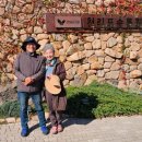 산림머슴 네이버블로그