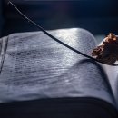 군산자동차학원 이미지