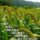 연향원