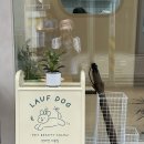 라우프독 이미지