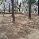 후동공원 이미지