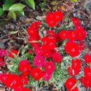 서부농업기술센터 이미지