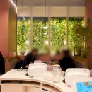 오샤브 | 압구정 프리미엄 샤브샤브 맛집 1인 샤브로 깔끔한 샤브오 신상 맛집 강추 후기