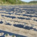 석문농장 이미지