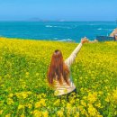 꽃길따라 이미지