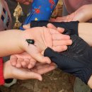 천전초병설유치원 이미지