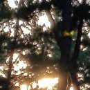 우주발전소1호 Daum카페