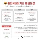 충의K타이거즈 태권도장 이미지
