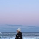 중앙제과마트 | [강릉여행] 경포동해횟집//강릉중앙시장 이것저것 먹거리(누룽지오징어순대,호떡,중앙닭강정,만동제과)