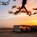 몽산포자동차야영장 이미지