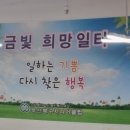 희망일터 | [현장취재] 부산 북구 어르신들의 빛나는 인생 2막! '금빛희망일터'를 가다