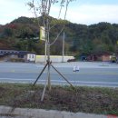 덕산장여관 이미지