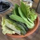 모내리쌈밥전문점 이미지