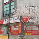 굴화당구장 이미지