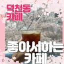 팡팡 | [ 덕천동 카페 ] 좋아서 하는 카페 - 아메리카노 리필 가능한 대형카페 노트북 하기 좋은 벚꽃 뷰 명당