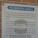 자미원농장 이미지