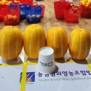 성주 이미지
