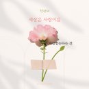 사랑인약국 앞 이미지