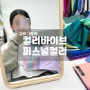 컬러바이브 | 김해 퍼스널컬러 재진단 전문 컬러바이브 컨설팅 꼼꼼 후기
