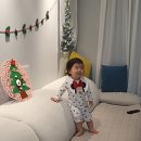 퍼니써니수원 이미지