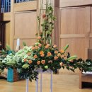 원주제일 이미지