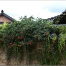 창평남극루 이미지