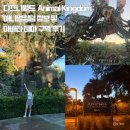 아바타 | [미국_올랜도] 디즈니월드 Animal Kingdom : 애니멀킹덤 정보 및 아바타 테마 구역 후기