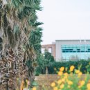 서부농업기술센터 이미지