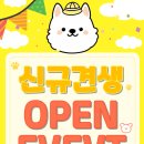 신난댕 애견유치원 이미지