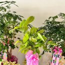 마산시농협하나로마트 이미지