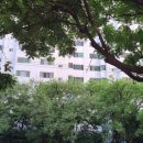 삼원부동산중개 이미지