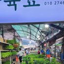 제주인으로 귀화했어요. 이미지