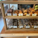 데네브 | [경주카페] 경주 대릉원 뷰 카페! 베이커리도 놓칠 수 없는 &#39;데네브&#39; 방문 후기!