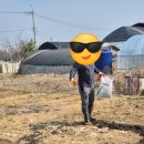 화정농장1 이미지